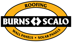 BS_Penguins_Logo