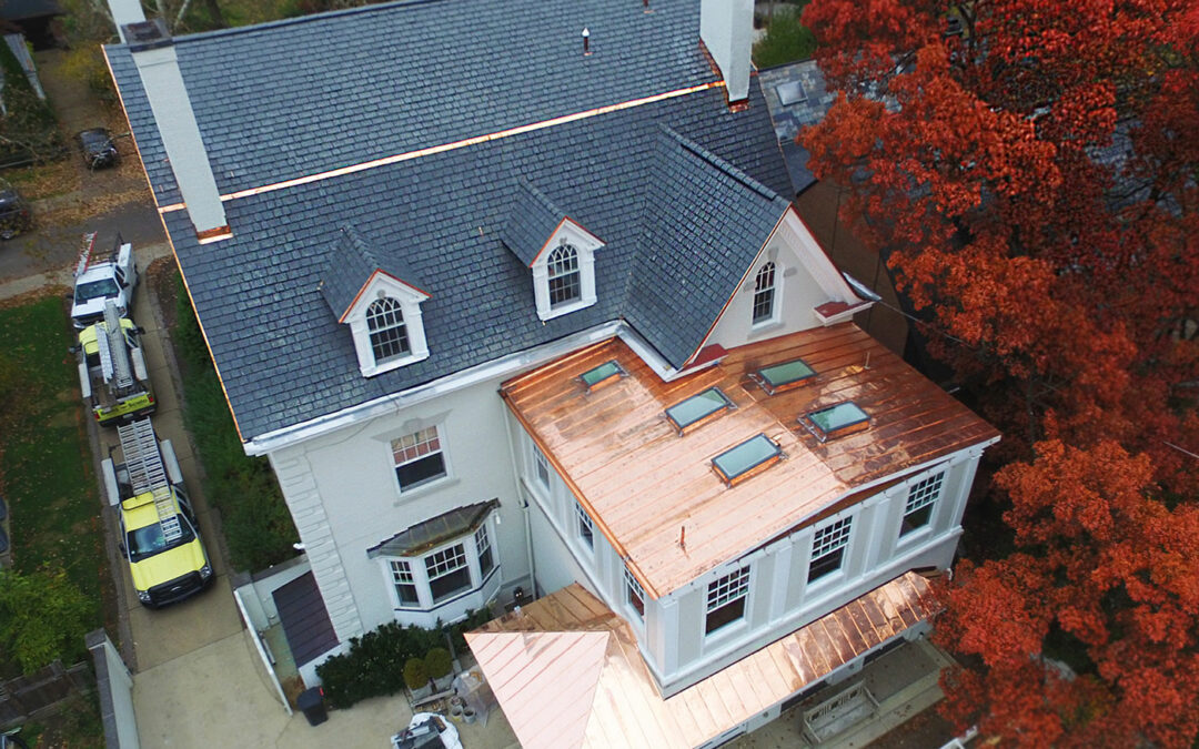 Specialty Metal Roofs