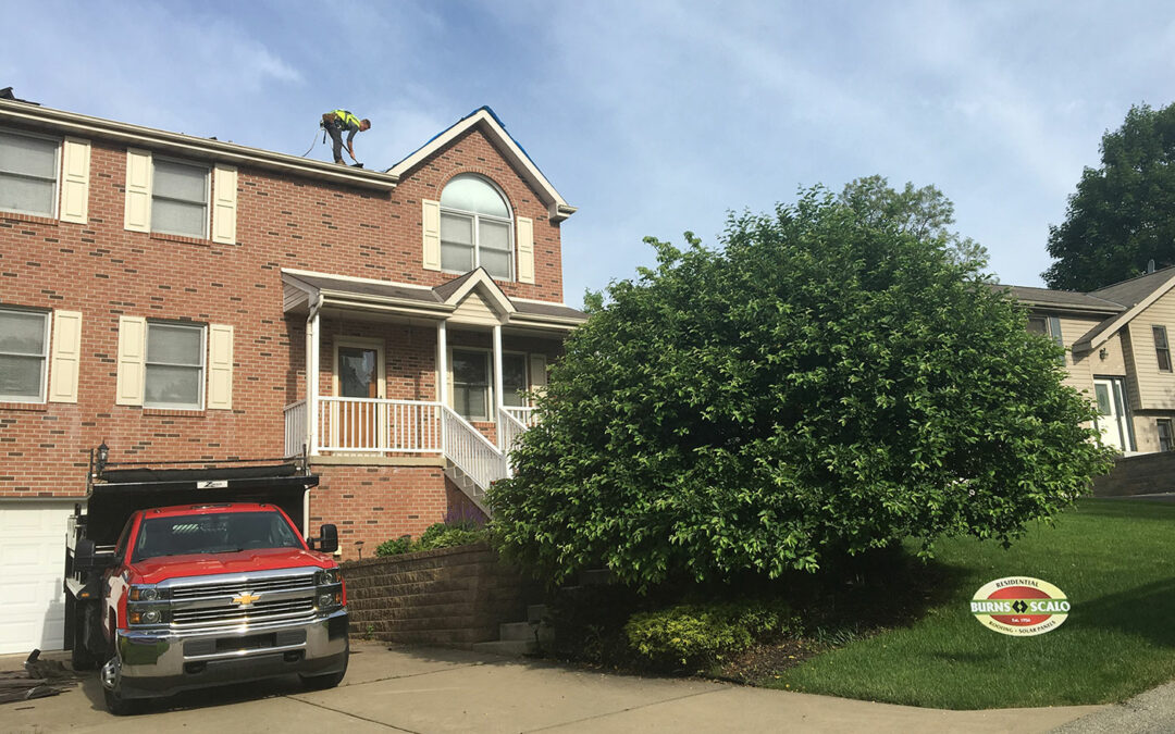 Shingle Best Roofers