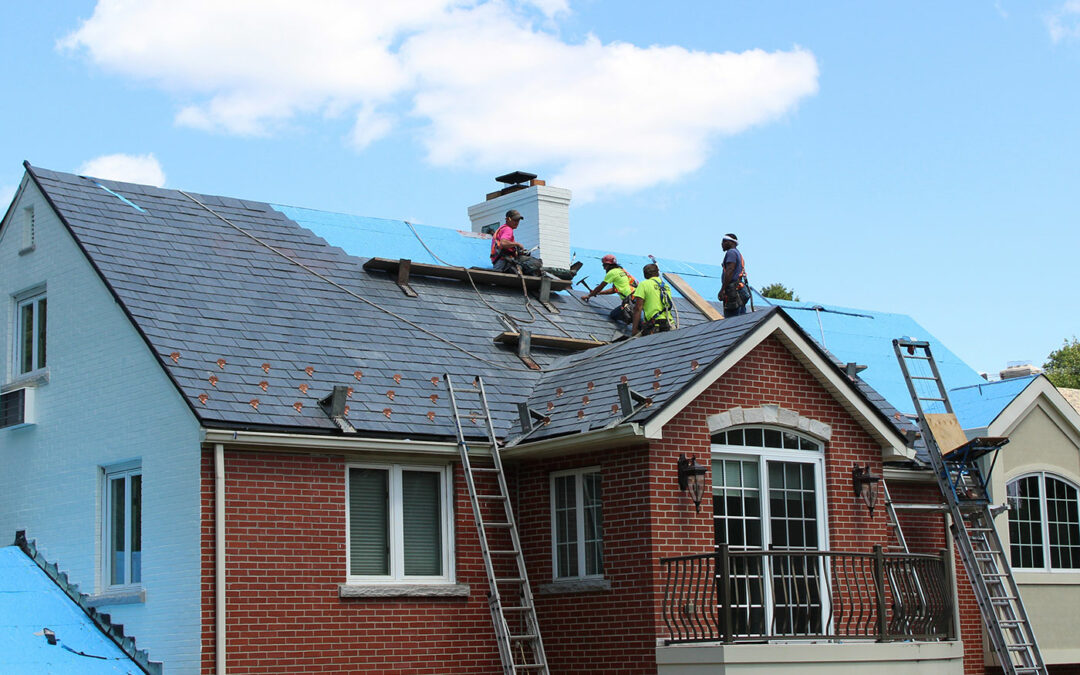 Asphalt Shingle Roofers
