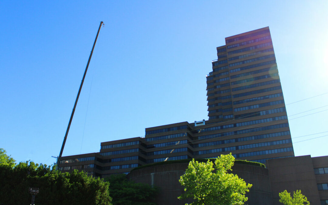 Trimont Condos / Mt. Washington