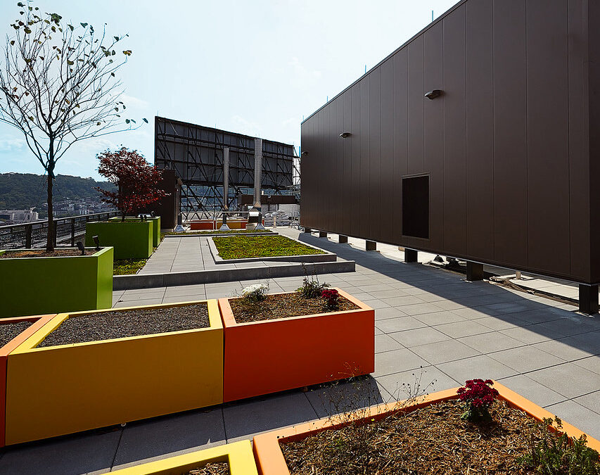 Wallscreens & Vegetative Roofing