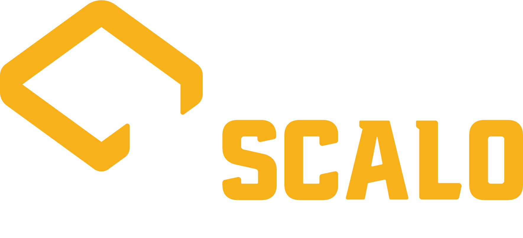 BSPA Primary_NEG